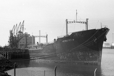 herstein280875.jpg
