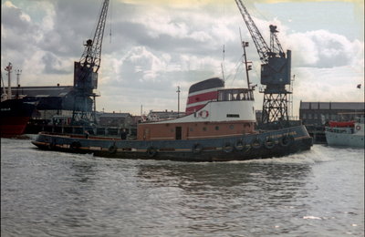 Marton Cross, 12 May 1968_1.jpg