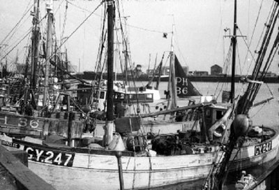 gy 247 brizlee.jpg