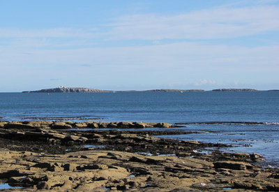 Farne Islands 180913.jpg