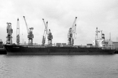 delicia250485.jpg