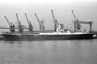 demarg240679x2.jpg