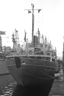 breevoort281176.jpg