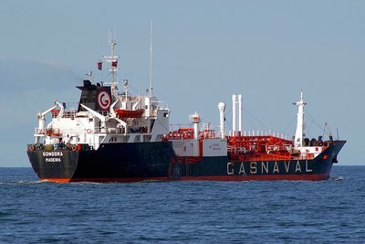 GONGORA 280908g.JPG