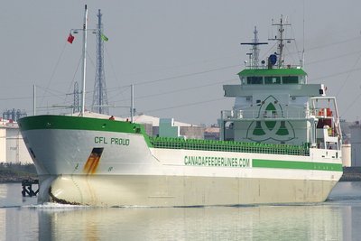 CFL PROUD 050610a.JPG