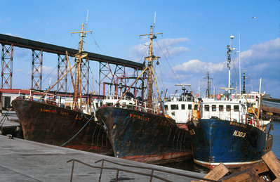 London Town-Royalist.jpg