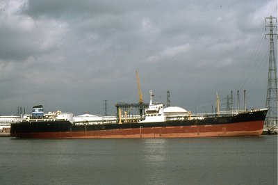 HATTAN 170579a.jpg