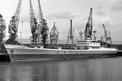 arya-rokh010479x1.jpg