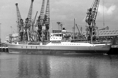 arya-rokh010479x2.jpg
