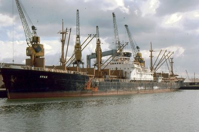 AVAX 180777a.jpg