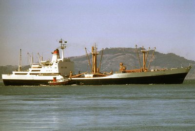 DA VERRAZANO.jpg