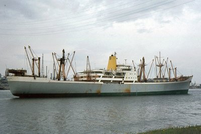 BENGLOE 0578a.jpg