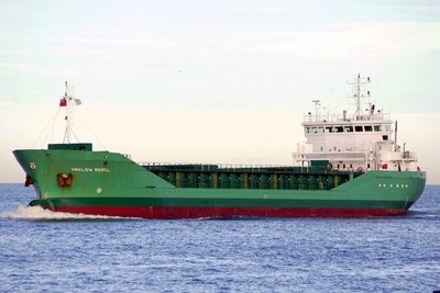 ARKLOW REBEL 271113b.JPG