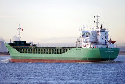 ARKLOW REBEL 271113c.JPG