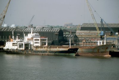 TARROS ILEX-STRIDER AUSTRALIA 160684a.jpg (248.56 KiB) Viewed 2150 times TARROS ILEX-STRIDER AUSTRALIA 160684a.jpg