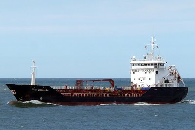 12140stoltkittiwake140612x4.jpg