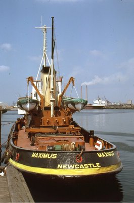 MAXIMUS 180679a.jpg