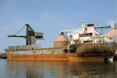 CAPE RACE 180679a.jpg