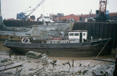 HIPPO D 280887a.jpg