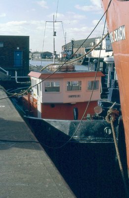 HIPPO D 281088b.jpg
