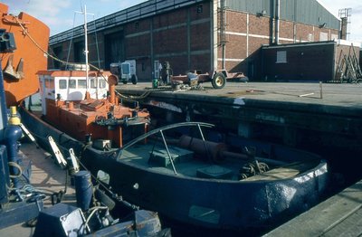HIPPO D 281088a.jpg