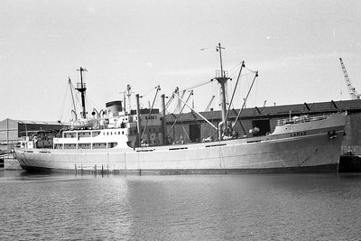 lapad100767.jpg