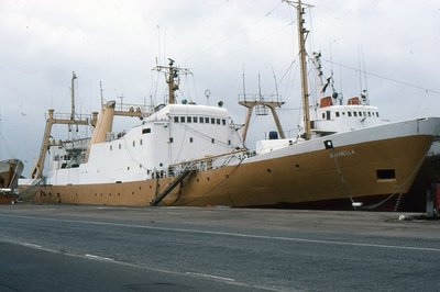 SWANELLA 110683a.jpg