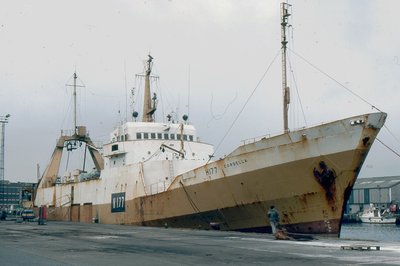 CORDELLA 110683a.jpg