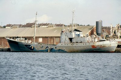 SEA SHEPHERD 170987.jpg