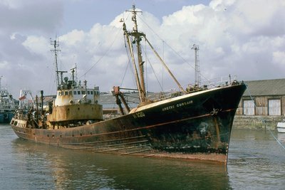 ARCTIC CORSAIR 030486a.jpg