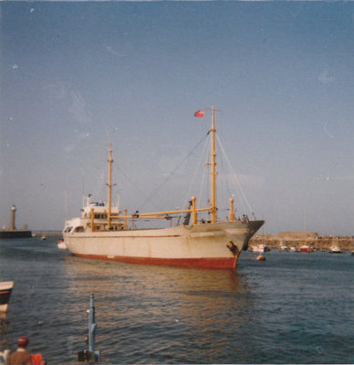 IMG.jpg