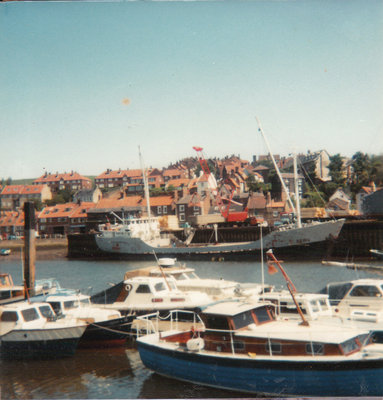 IMG_0005.jpg