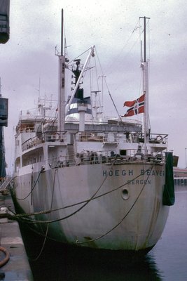 HOEGH-BEAVERxaw.jpg