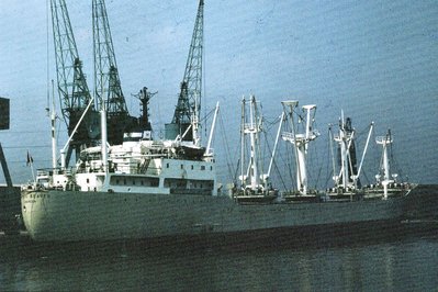 HOEGH-BEAVERxawx2.jpg