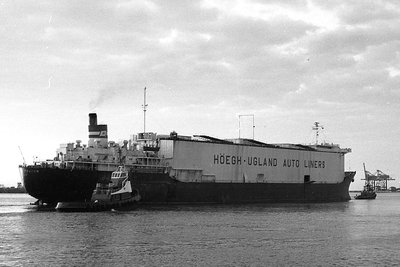 hoeghtrader030877x3.jpg
