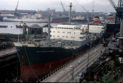 British Kestrel, 23 July 1968_1.jpg