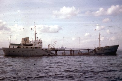 VITTA-THERESAxaw.jpg