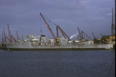 Resize of Caesar 110167 198x.jpg