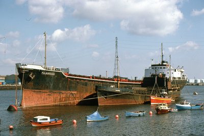 PULBOROUGH-GOLDSTONE 010486a.jpg