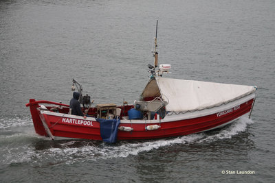 Yorkshire Rose 2.JPG