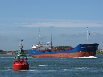 NEKTON110614B.jpg