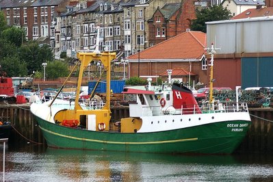 OCEAN DANCER 300709_1.JPG
