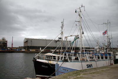 solan_frem w.jpg (376.46 KiB) Viewed 1792 times solan_frem w.jpg