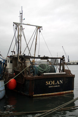 solan pd 958.jpg (208.87 KiB) Viewed 1790 times solan pd 958.jpg