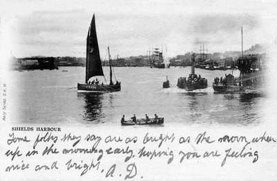River View2.jpg