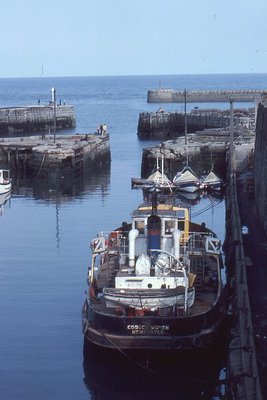 COQUET MOUTH 120781a.jpg