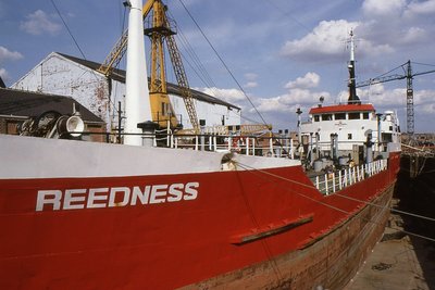 REEDNESS 290892a.jpg