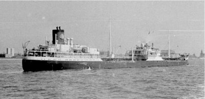 hadrianiastern.jpg