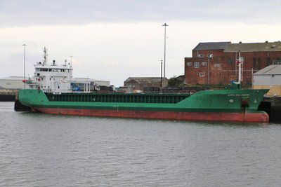 Arklow Fern, 16 October 2015 (3)_1.JPG