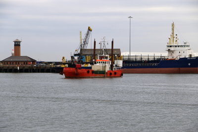 Aase Madsen, 23 October 2015 (1)_1.JPG